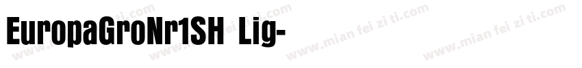 EuropaGroNr1SH Lig字体转换